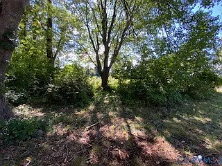 81 Northumberland Dr — Photo 5
