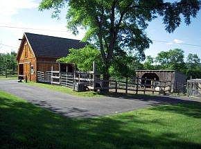Barn with Horses