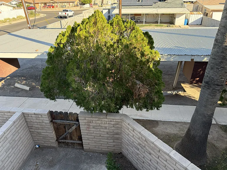 2803 S 1st Ave — Photo 35
