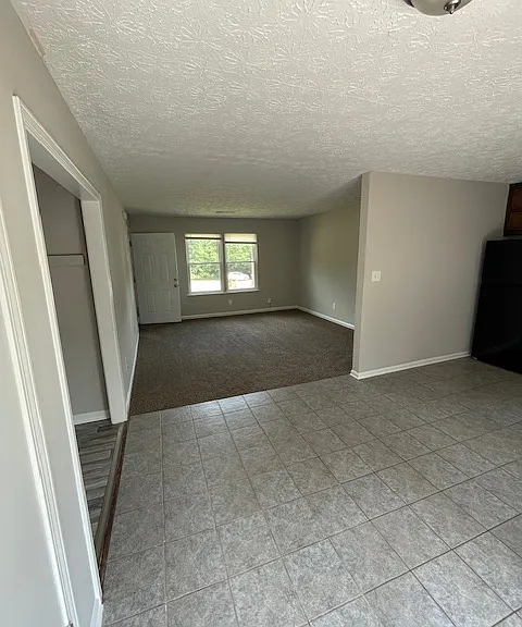 252 Toby Springs Ln — Photo 5