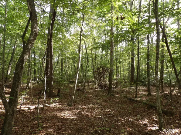 1 Creek Rd #20, Crossville, TN 38571