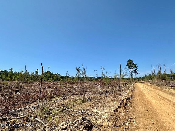 5th image of 7 Cutoff Rd
