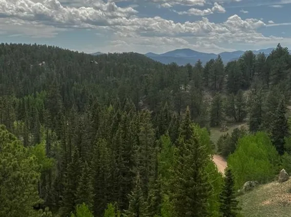 1505 Arapahoe Creek Trl, Florissant, CO 80816