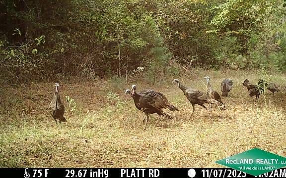 5th image of 0 Platt Rd