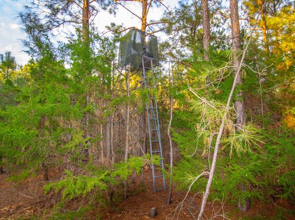 0 Mistletoe Rd, Gilmer, TX 75644