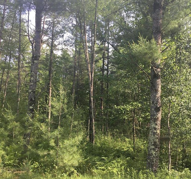 1st image of LT 55 MENOMINEE SHORES DR