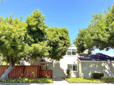 156 Briarwood Dr, Hayward, CA, 94544