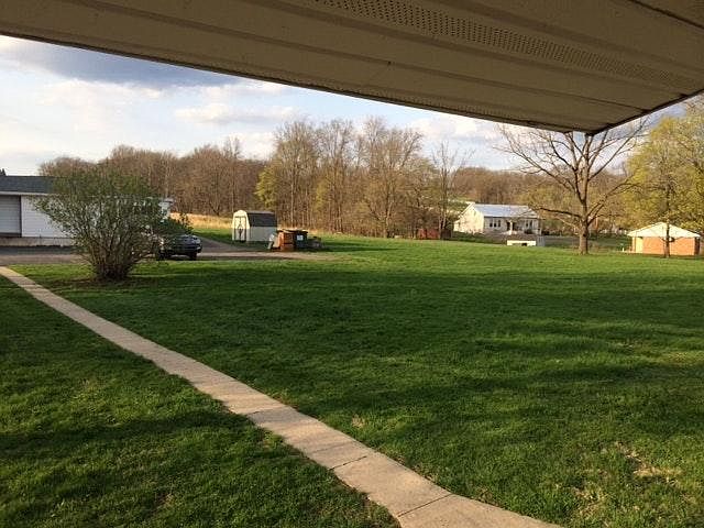 Back yard