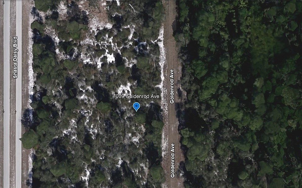 1st image of 7009 Goldenrod Ave