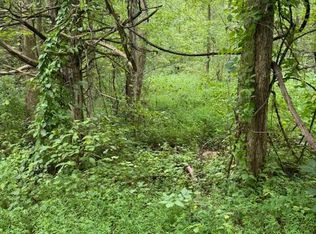 LOT 1 Timber Lake Dr, Cosby, TN 37722