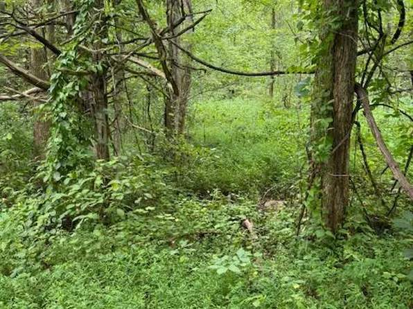 LOT 1 Timber Lake Dr, Cosby, TN 37722