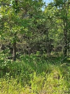 0 Eagle Ln, Kingston, OK, 73439