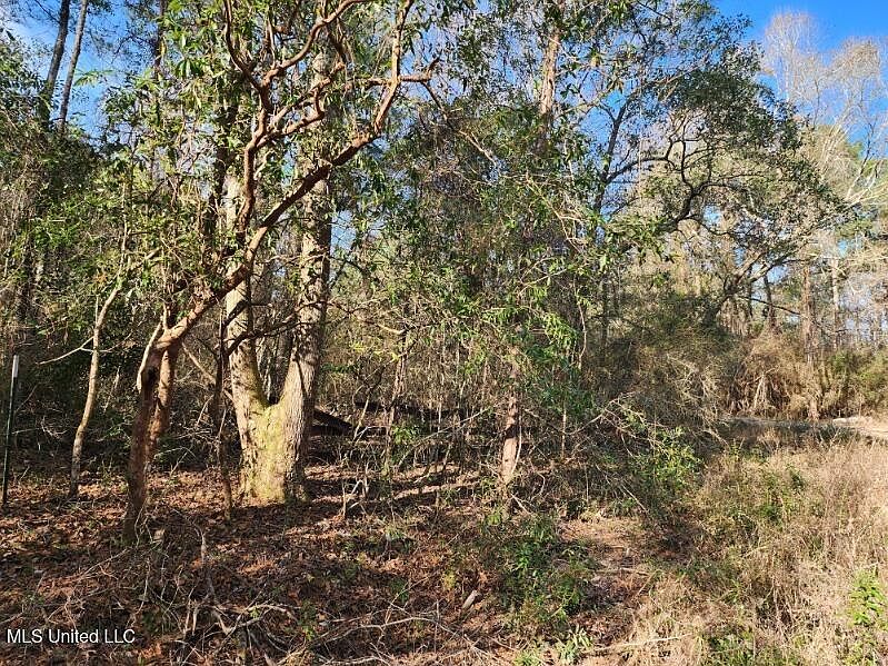 2nd image of Kupfer Ln
