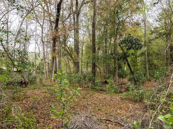 LOT 45 SW Boston Ter Lot 45, Fort White, FL 32038