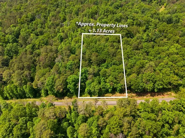 238 Pinnacle Dr, Ellijay, GA 30540