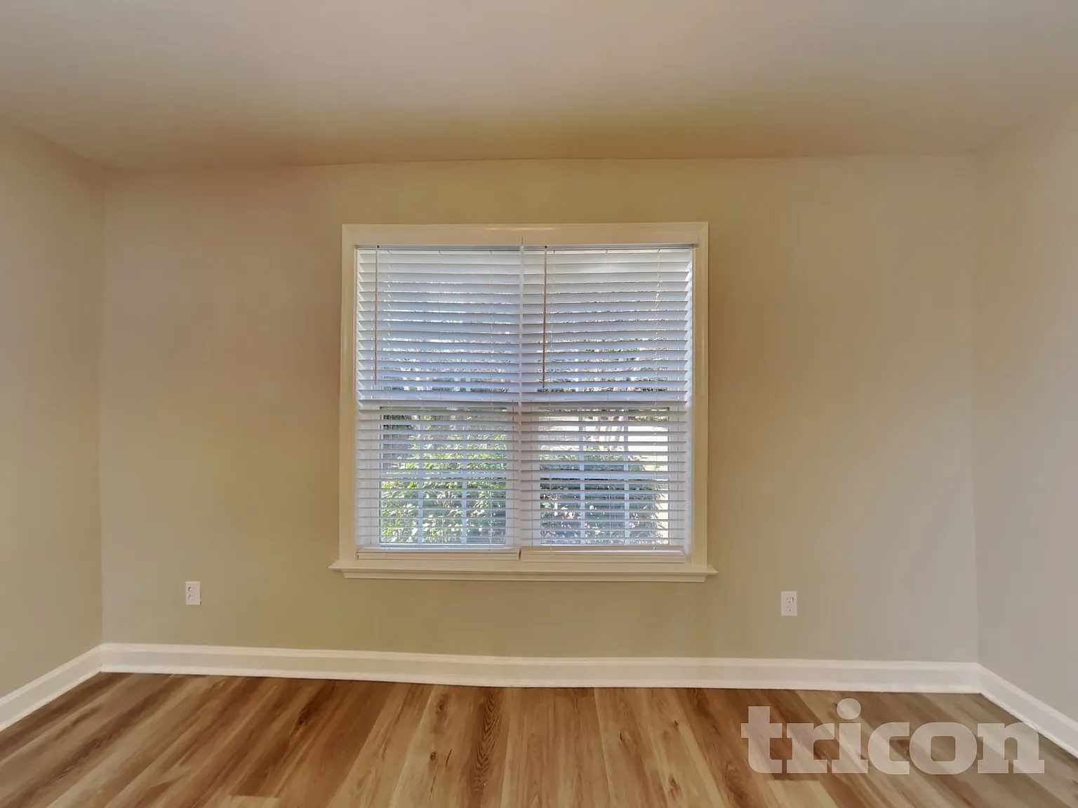 3330 Wolfe Store Lane Pfafftown NC — Photo 4