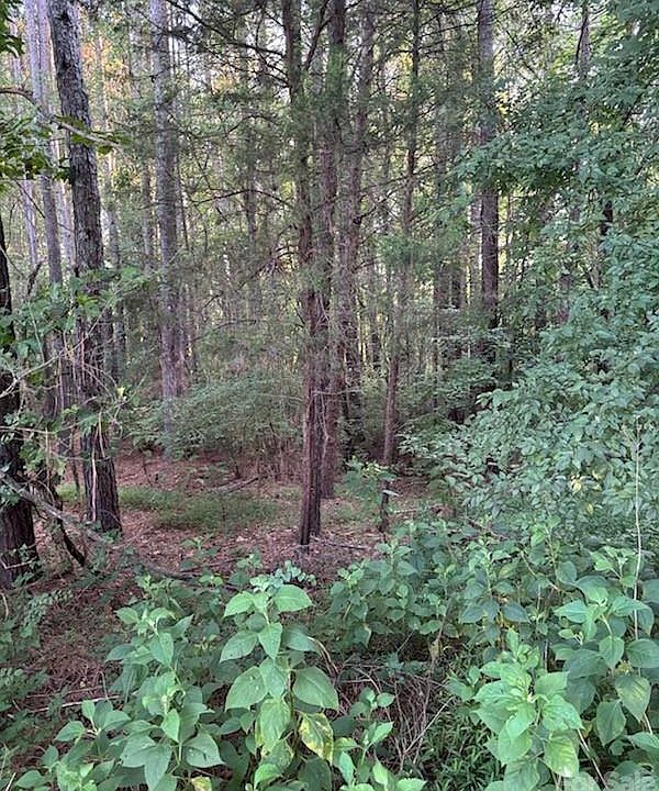 2nd image of 1 Mathis Church Rd