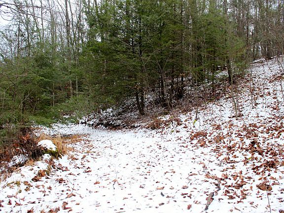 3rd image of Hollow Road
