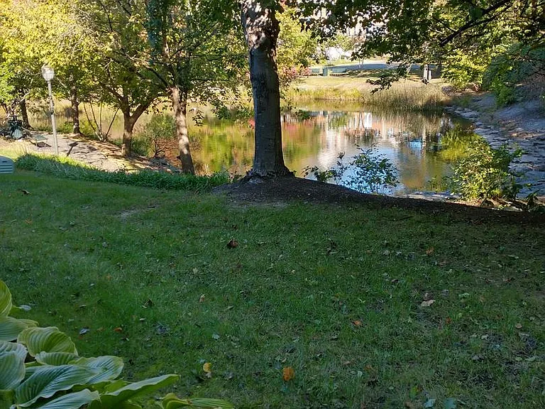 11551 Laurel Lake Sq — Photo 13