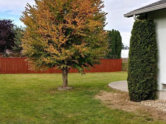 Side yard