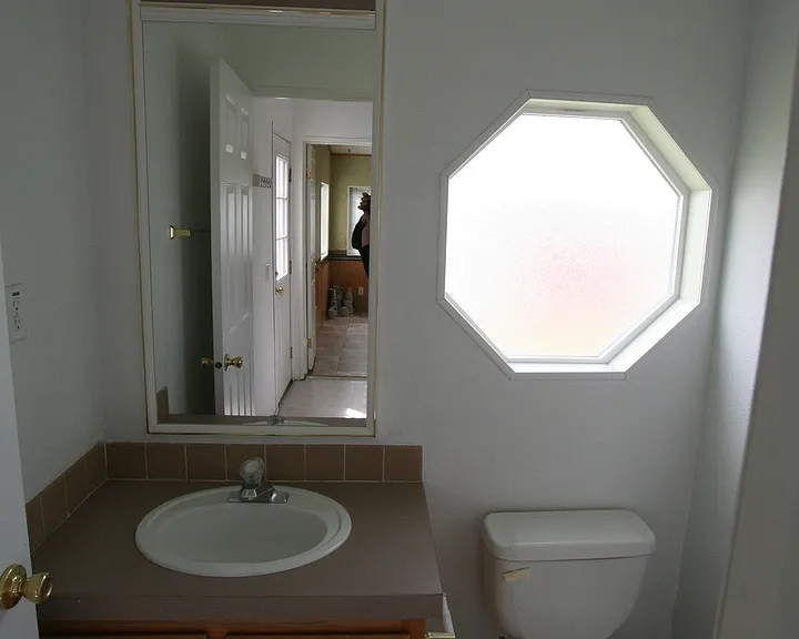 229 Silver Maple Dr — Photo 22