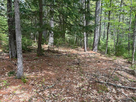 4th image of 103 Ledges Circle
