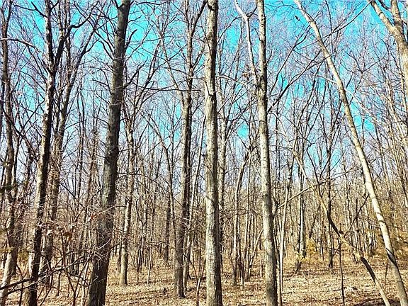 5th image of 0 Phillips Rd