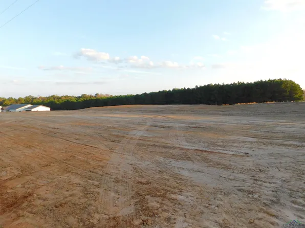 Hawk Road Jacklyn Ln, Diana, TX 75640