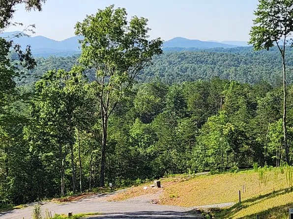 LOT 18 Mountain Laurel Ridg, Mineral Bluff, GA 30559