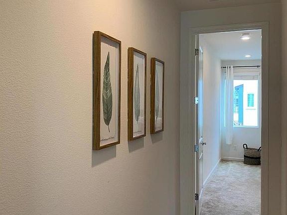 5th image of 5557 Apex Dr