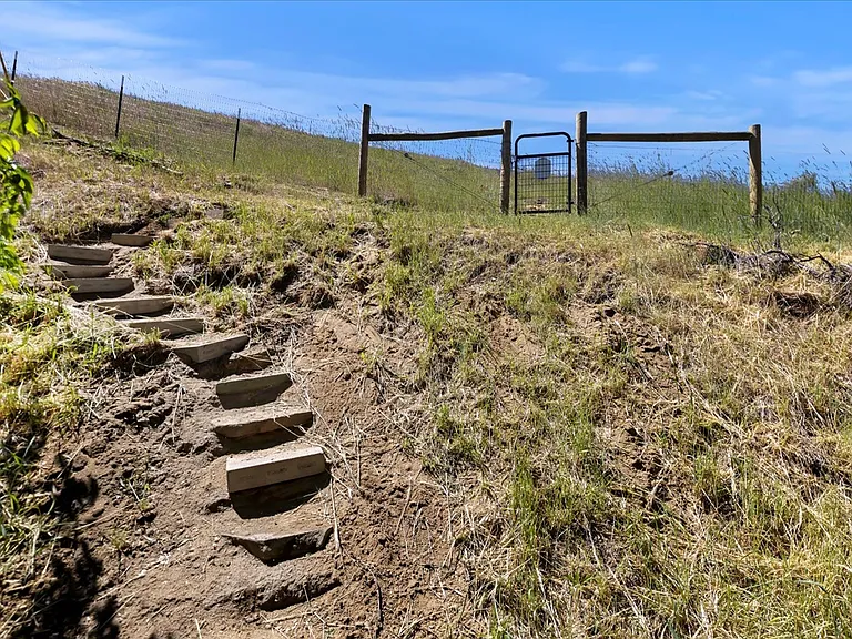 Trail access to Harrison Hollow from backyard