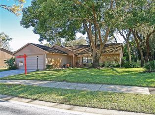 10400 Ravines Dr, New Port Richey, FL 34654