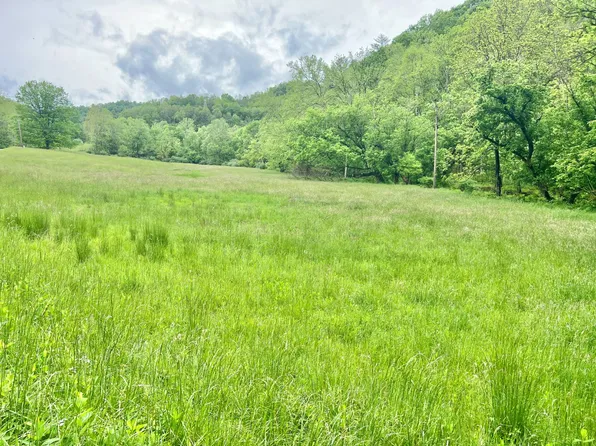0 Big Flint Rd, Center Pt, WV 26339