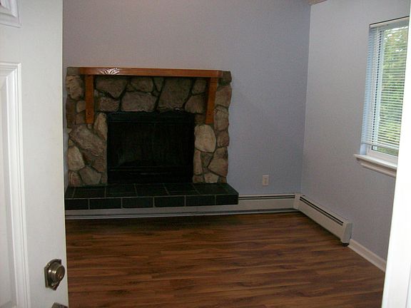 Fireplace Front Door