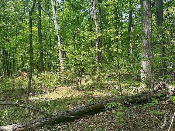 5th image of 0 Whispering Acres Ln