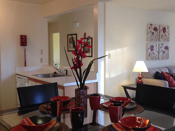 4th image of 3501 Chimney Hill Ct APT 103