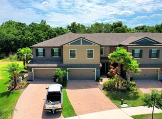 28522 Tranquil Lake Cir, Wesley Chapel, FL 33543
