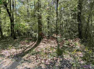 Tbd Percy Young Rd, Walker, LA 70785