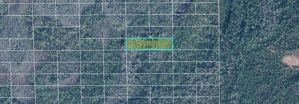 2nd image of Dill Rd #310