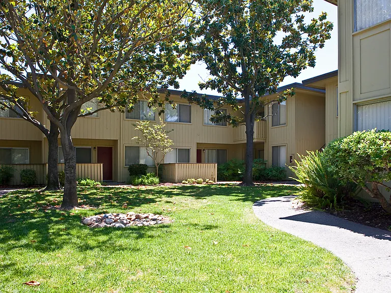 Sheila Garden — Photo 11