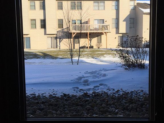 view from basement living