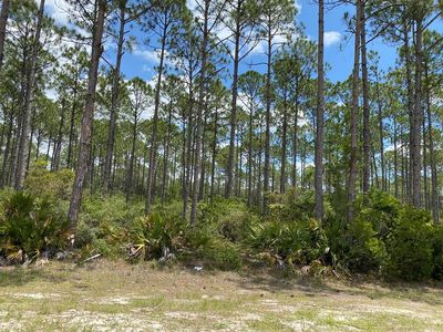 LOT 5 Jones Homestead Rd, Pt Saint Joe, FL, 32456
