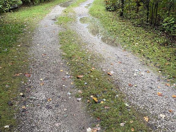 3rd image of Ryan Rd