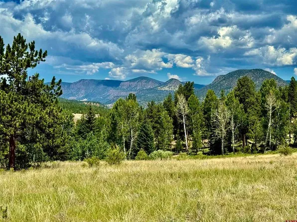 203 S Skyline Drive, South Fork, CO 81154