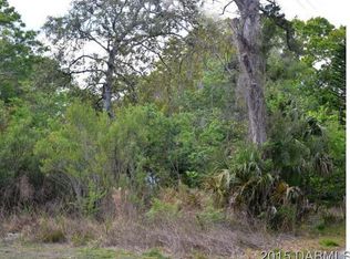 Palm Rd, Ormond Beach, FL 32174