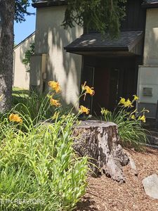 115 Beechnut St APT E5, Johnson City, TN, 37601