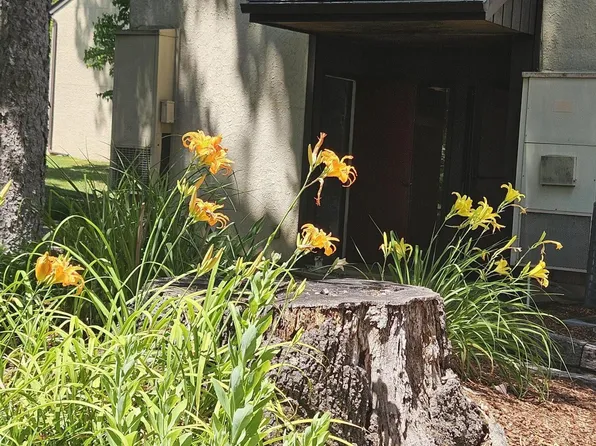 115 Beechnut St APT E5, Johnson City, TN 37601