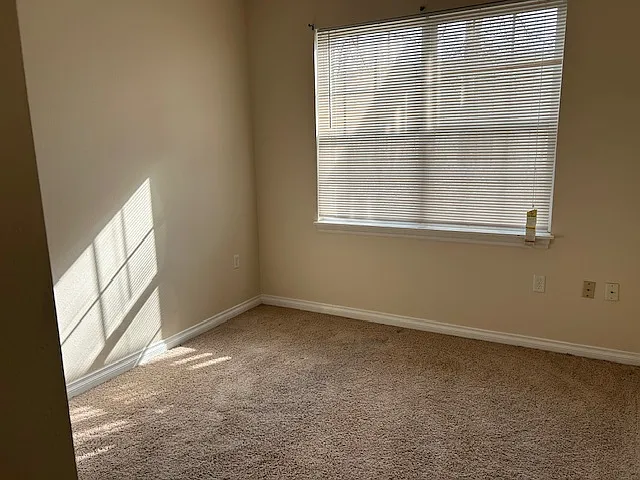 2798 Floex Dr — Photo 9