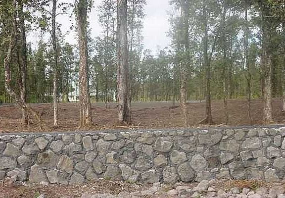 3rd image of 31st Ave Lot 338
