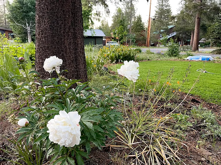 10295 E Alder Creek Rd — Photo 26
